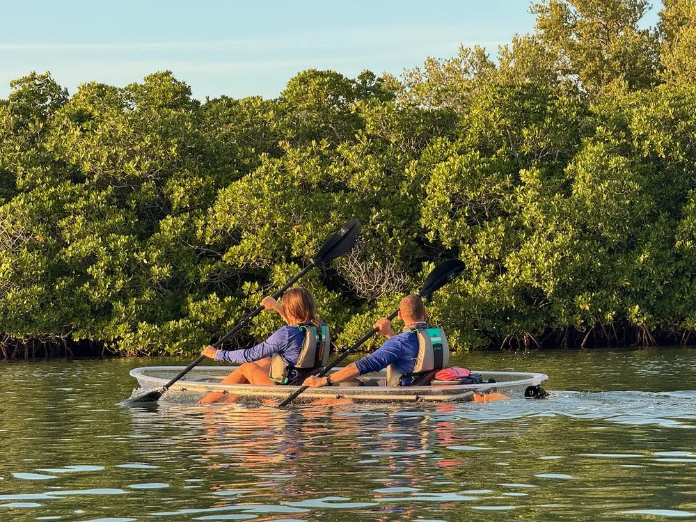 A couple paddling a clear kayak