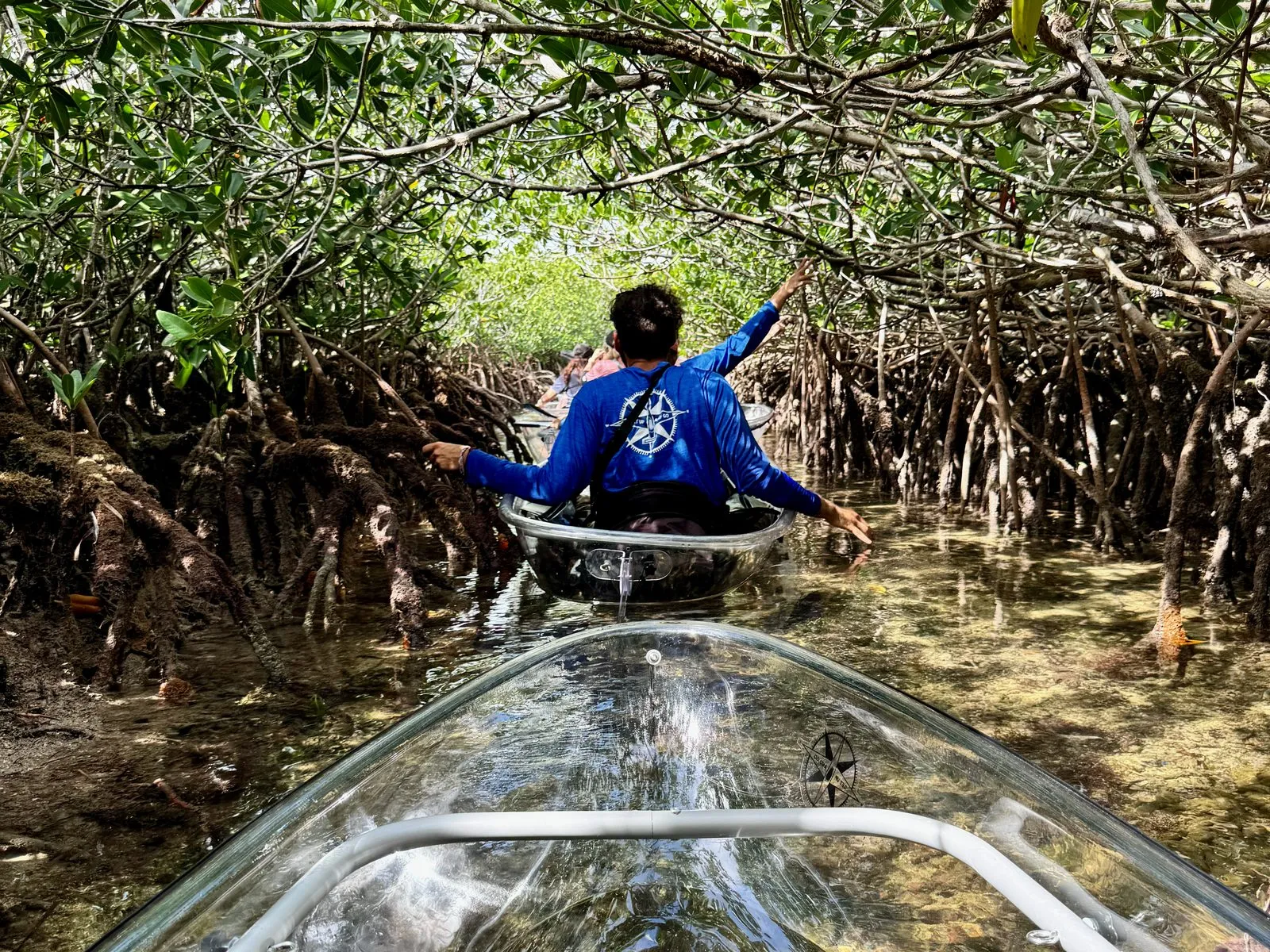Clear kayak in a mangrove tunnel on Sugarloaf Key